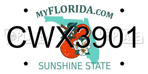 CWX3901 Florida License Plate