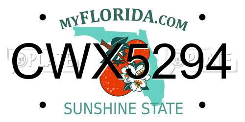 CWX5294 Florida License Plate