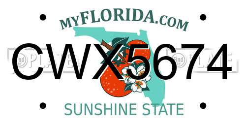 CWX5674 Florida License Plate