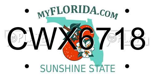 CWX6718 Florida License Plate