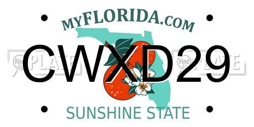 CWXD29 Florida License Plate