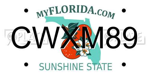 CWXM89 Florida License Plate