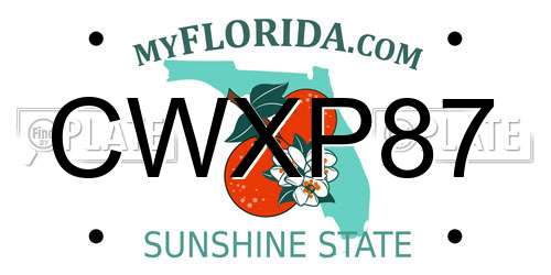CWXP87 Florida License Plate