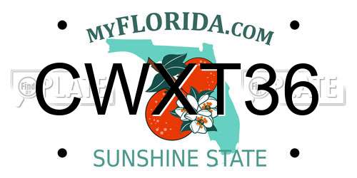 CWXT36 Florida License Plate