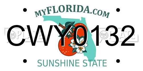 CWY0132 Florida License Plate