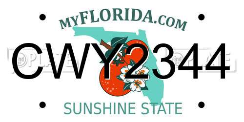 CWY2344 Florida License Plate