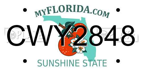 CWY2848 Florida License Plate