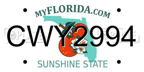 CWY2994 Florida License Plate