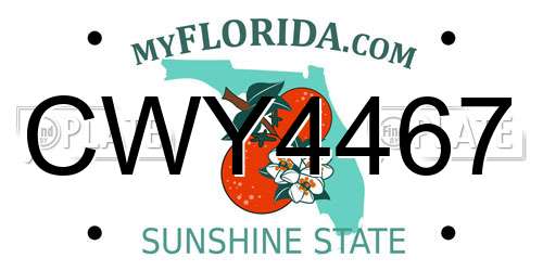 CWY4467 Florida License Plate
