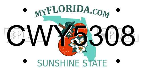 CWY5308 Florida License Plate