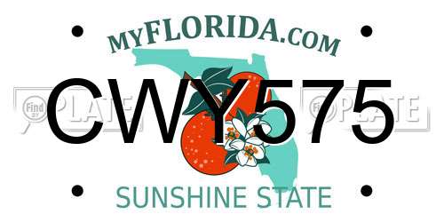 CWY575 Florida License Plate
