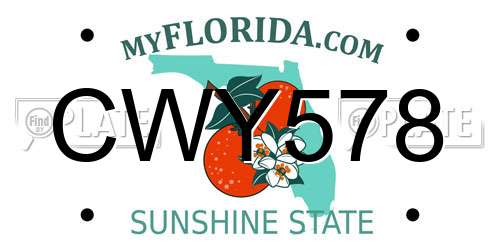 CWY578 Florida License Plate