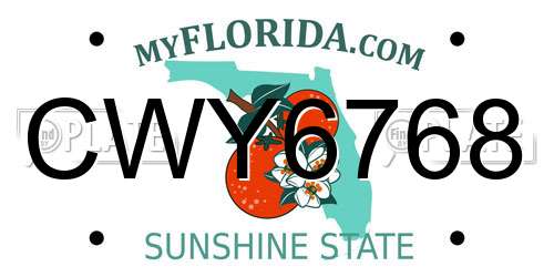 CWY6768 Florida License Plate