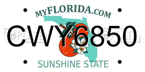 CWY6850 Florida License Plate