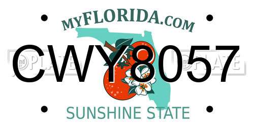 CWY8057 Florida License Plate