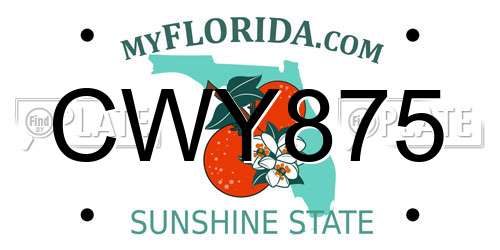 CWY875 Florida License Plate