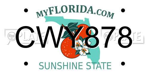 CWY878 Florida License Plate