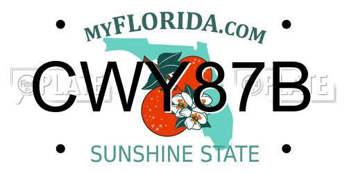CWY87B Florida License Plate