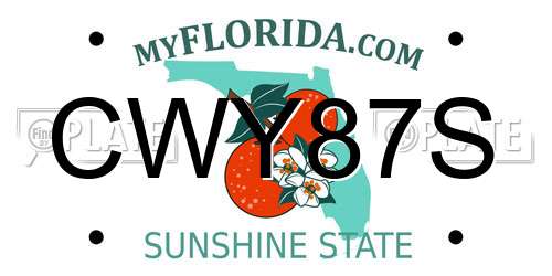 CWY87S Florida License Plate