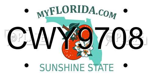 CWY9708 Florida License Plate