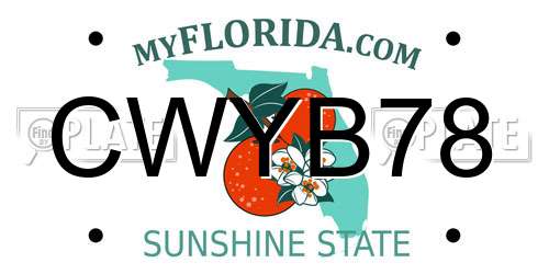 CWYB78 Florida License Plate