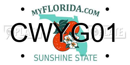 CWYG01 Florida License Plate