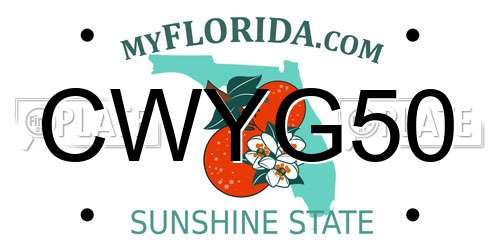 CWYG50 Florida License Plate