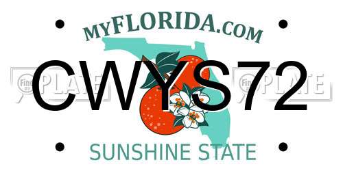CWYS72 Florida License Plate