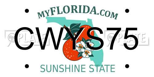 CWYS75 Florida License Plate