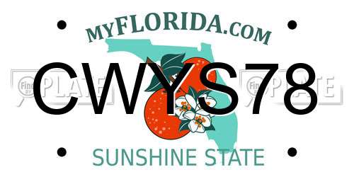 CWYS78 Florida License Plate