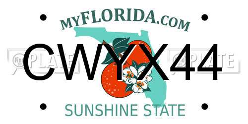 CWYX44 Florida License Plate