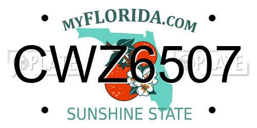 CWZ6507 Florida License Plate