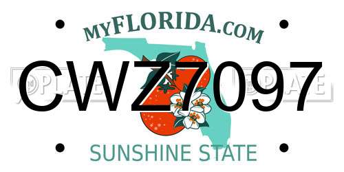 CWZ7097 Florida License Plate