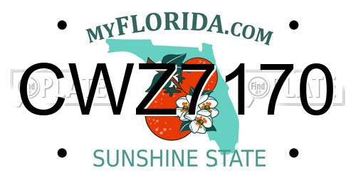 CWZ7170 Florida License Plate