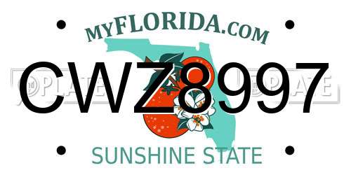 CWZ8997 Florida License Plate