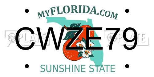CWZE79 Florida License Plate