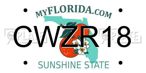 CWZR18 Florida License Plate