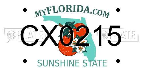 CX0215 Florida License Plate