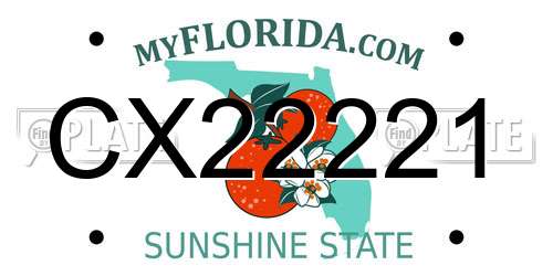 CX22221 Florida License Plate