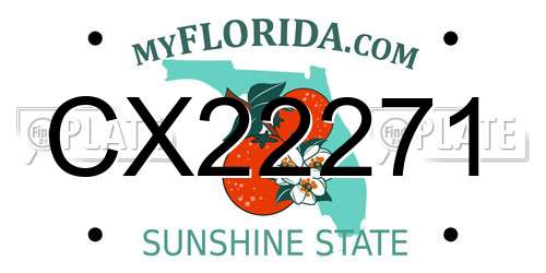 CX22271 Florida License Plate
