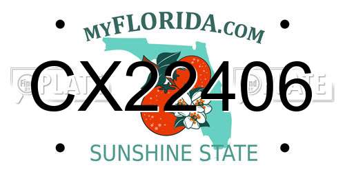 CX22406 Florida License Plate