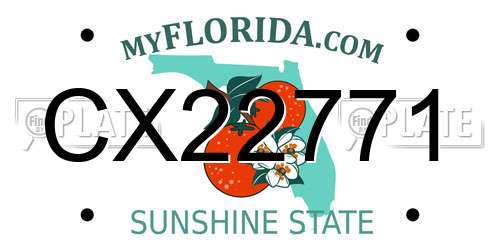 CX22771 Florida License Plate