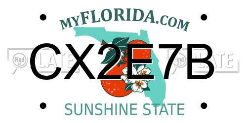 CX2E7B Florida License Plate