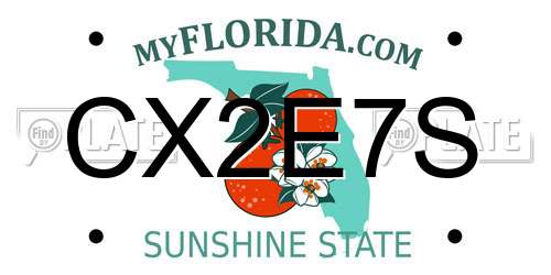 CX2E7S Florida License Plate