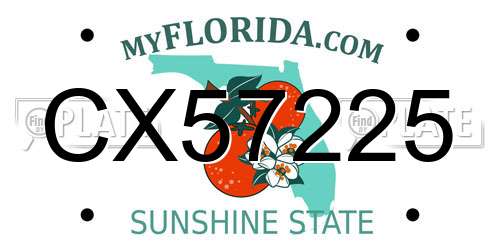 CX57225 Florida License Plate