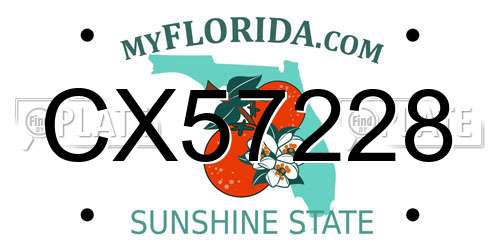 CX57228 Florida License Plate