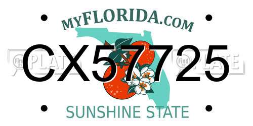 CX57725 Florida License Plate