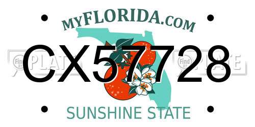 CX57728 Florida License Plate