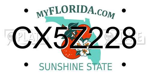 CX5Z228 Florida License Plate