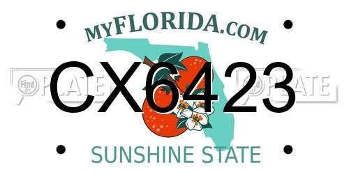 CX6423 Florida License Plate